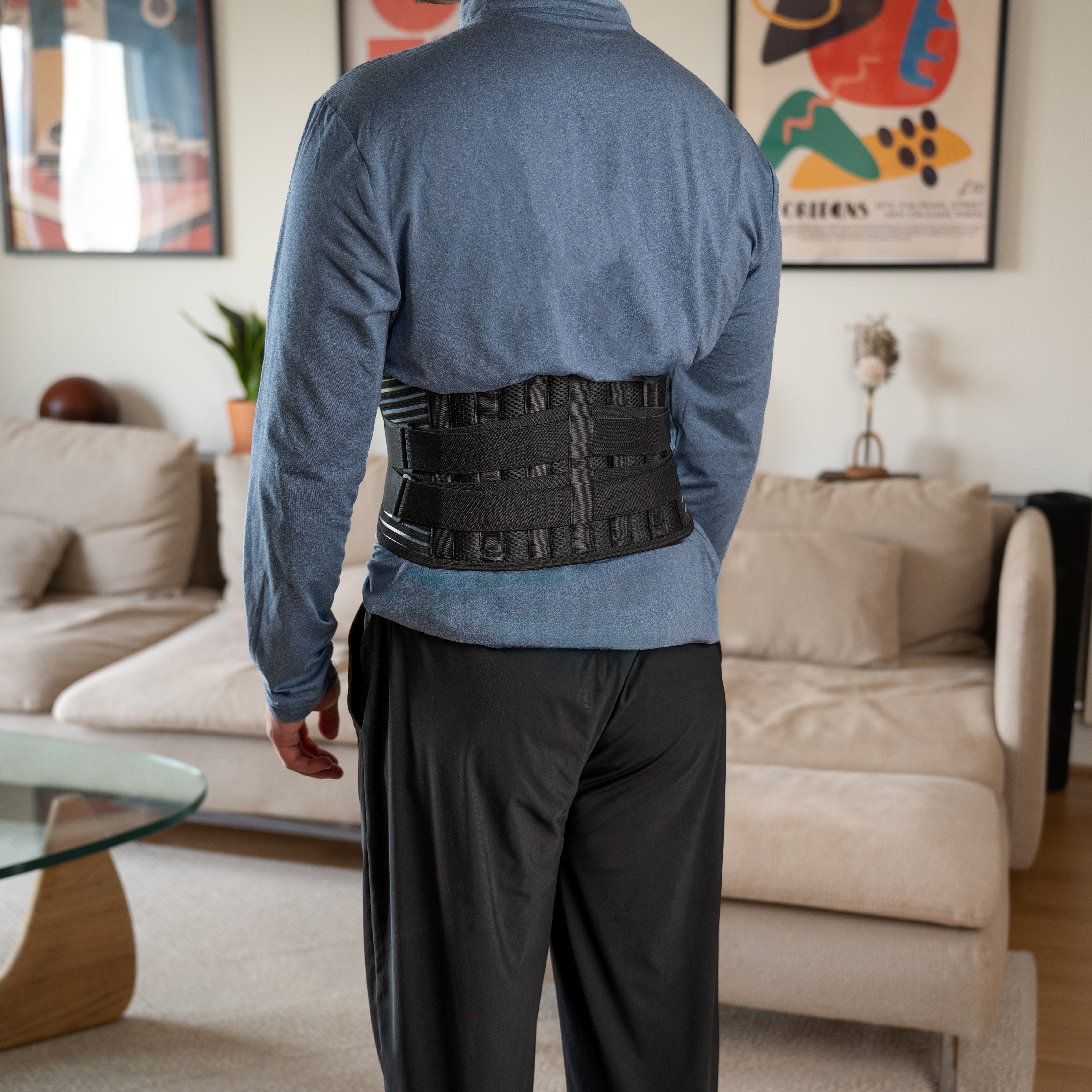 Lumbar Back Support